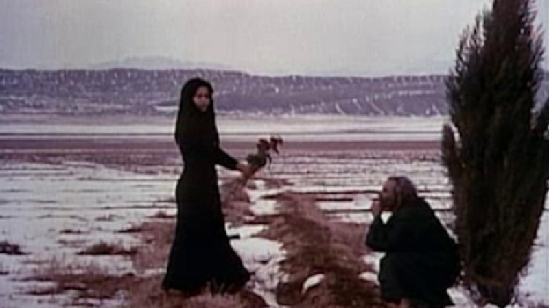 A woman in black holds out a flower across a stream to an old man crouched on the far bank beside a cypress tree